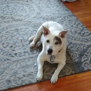 Meet your Posher, Linda